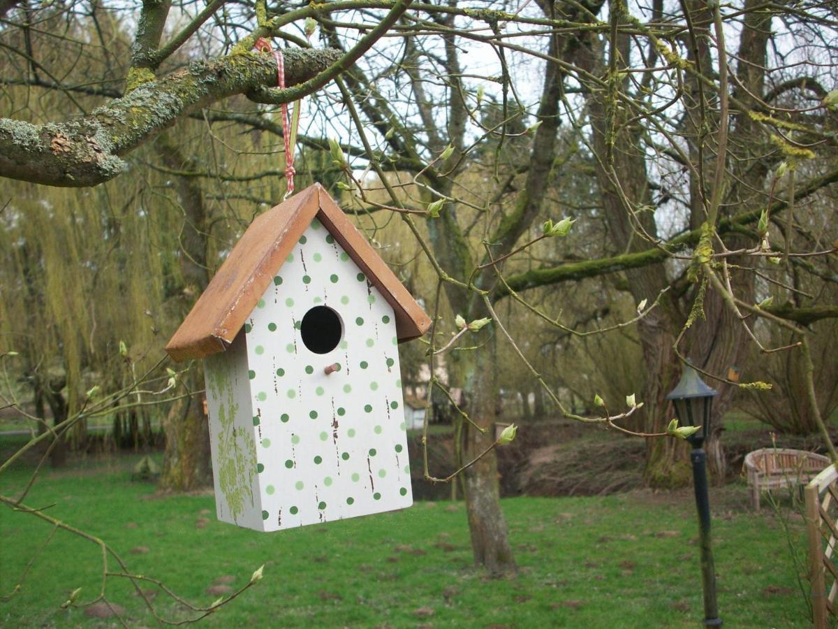 Moulin De Moxhe Micro Gite Et Gite - Bed & Dreams Dış mekan fotoğraf